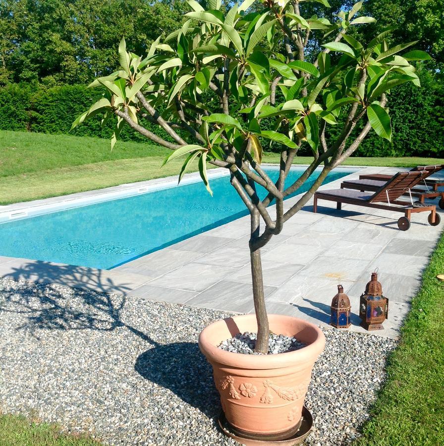 Prato Sesia Alla Gazza Ladra B&B 객실 사진